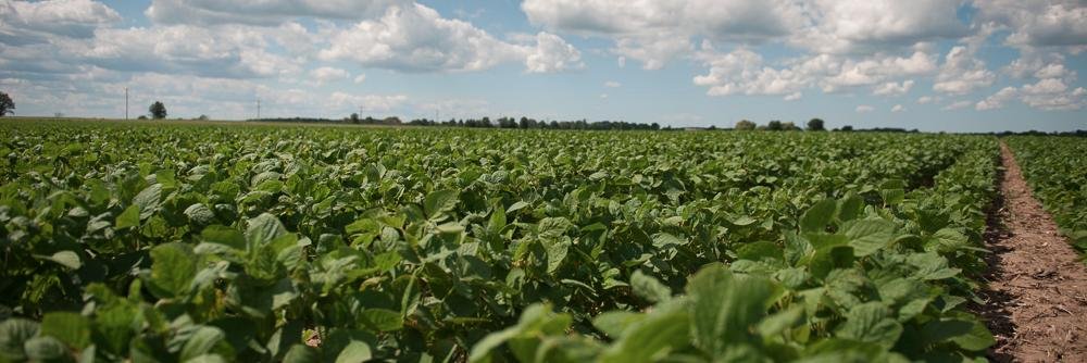 MacKellarFarms's profile banner image