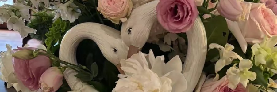 nahoviii's profile banner image