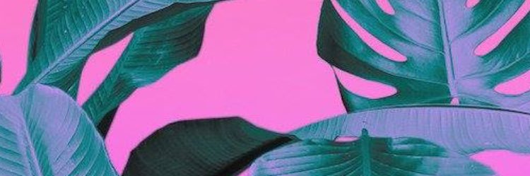 GraceYoFoSho's profile banner image