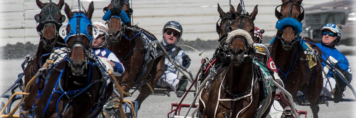 Harness Racing BC banner