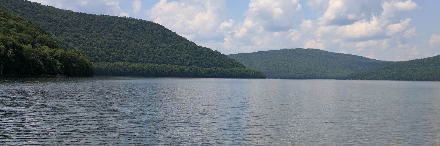 Shauna Keating banner