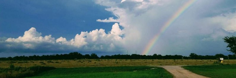 rainbowsrad's profile banner image