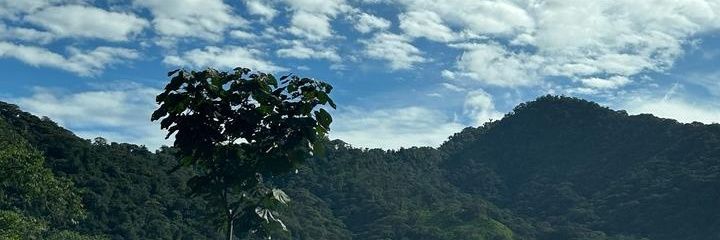 FernandaYepezC's profile banner image