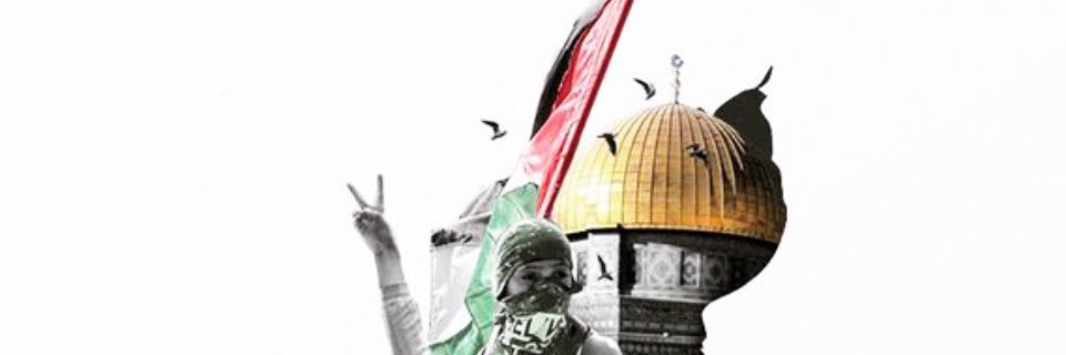 elsoos224's profile banner image