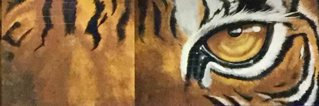 JHSTigerPride's profile banner image