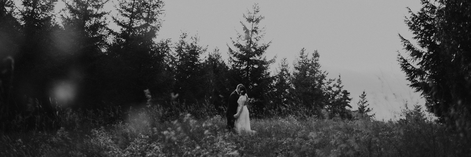 AEShorten's profile banner image
