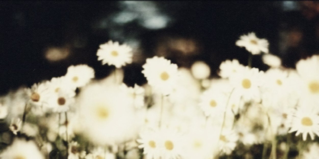 hannahlynn53's profile banner image