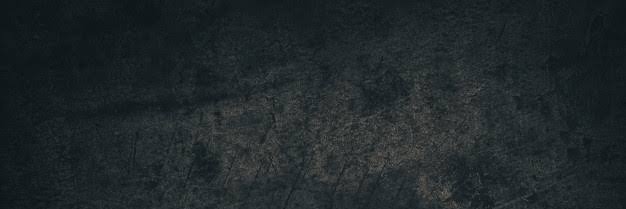 Paul__Broca's profile banner image