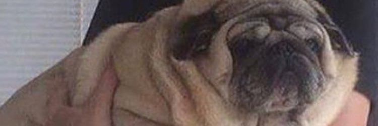 drxnkthoughts's profile banner image
