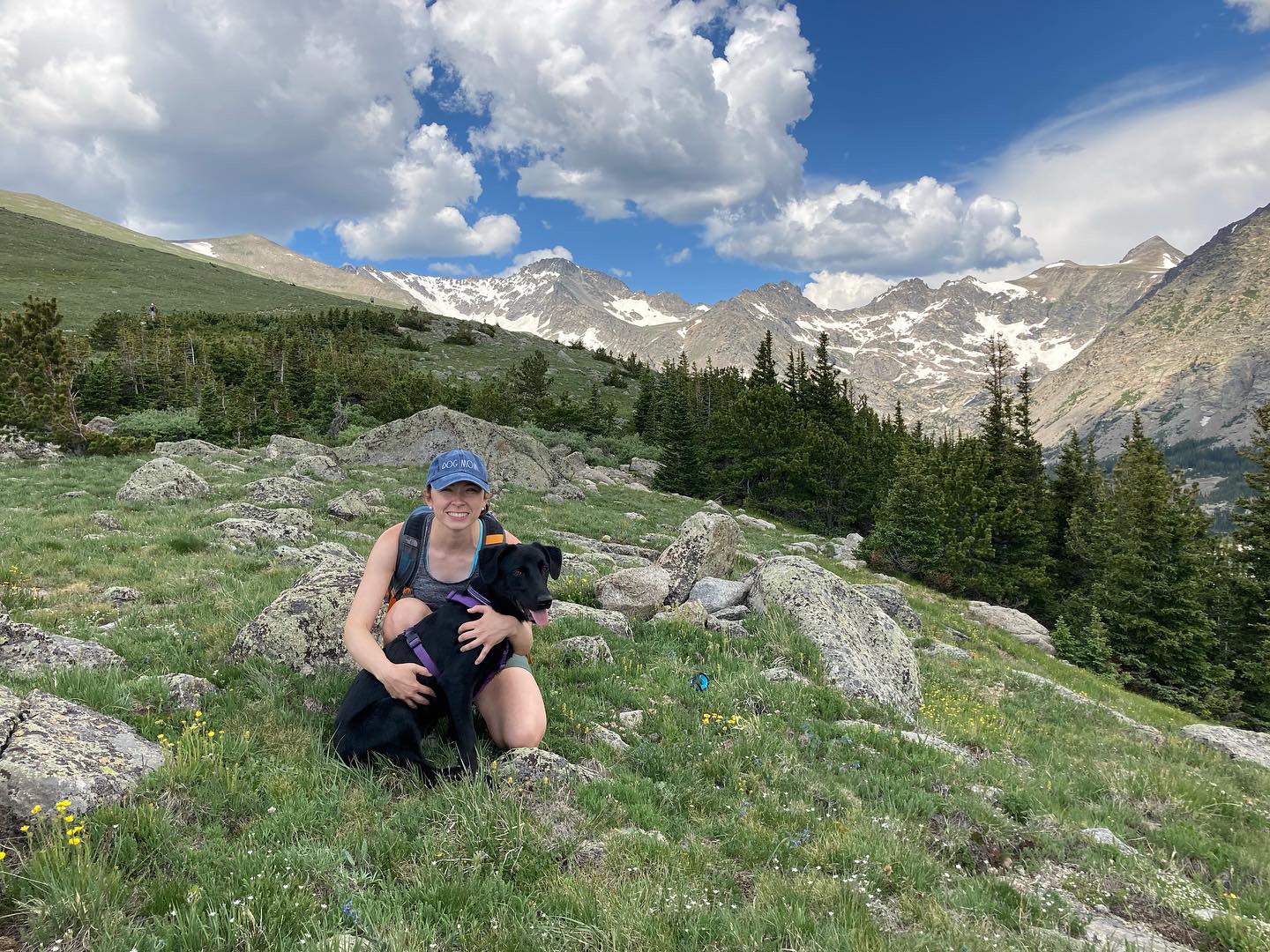 Victoria Graham banner