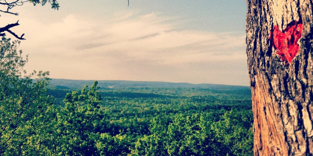 grace_everage's profile banner image