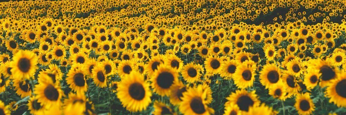 marialrgda's profile banner image