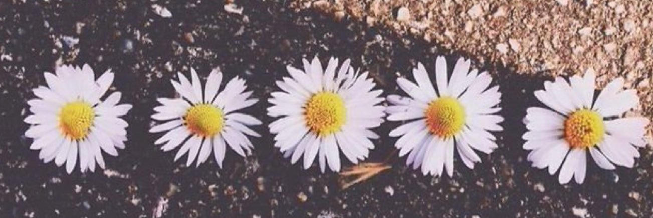 jillmaronde's profile banner image
