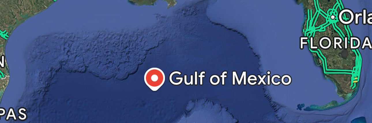 Triad of Felines banner