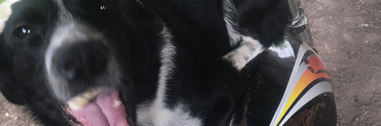 lufaf95's profile banner image