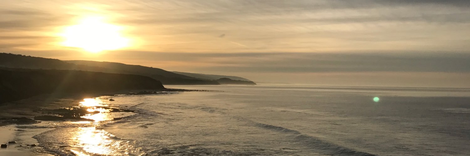 wpdiez's profile banner image