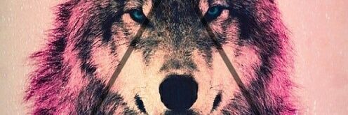 LsacroCarlos's profile banner image
