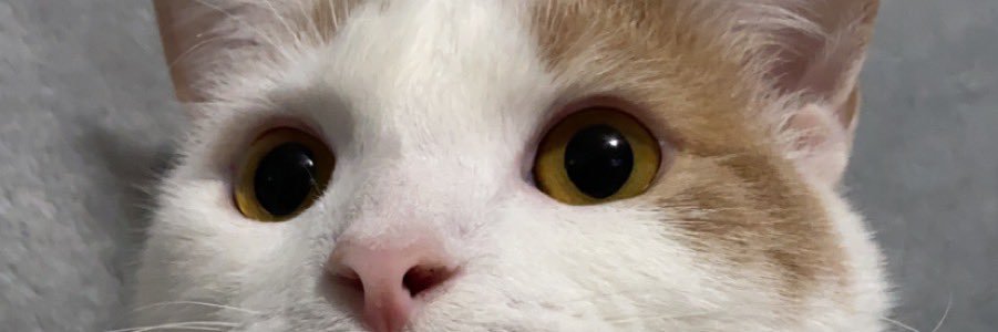estrahda's profile banner image