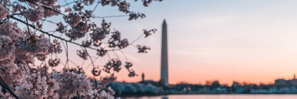 katherineefoley Profile Banner