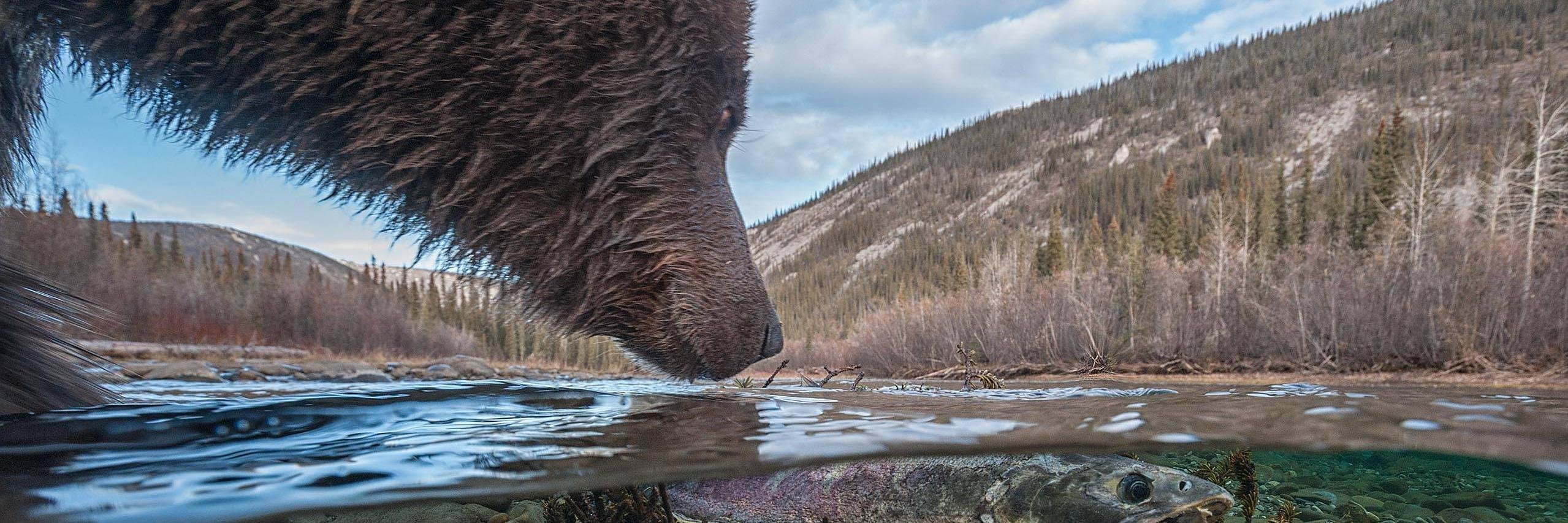 moospeakshere's profile banner image