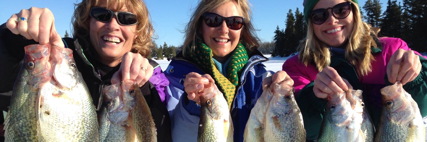 Merkel's Camp banner