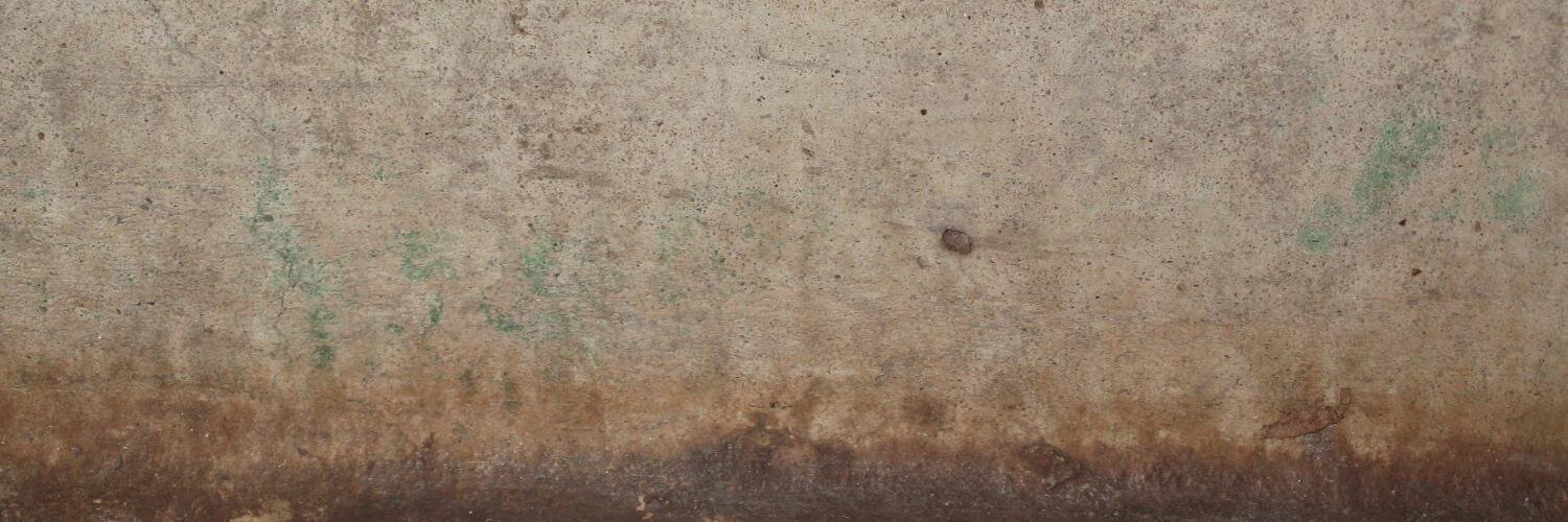 alextobey1's profile banner image