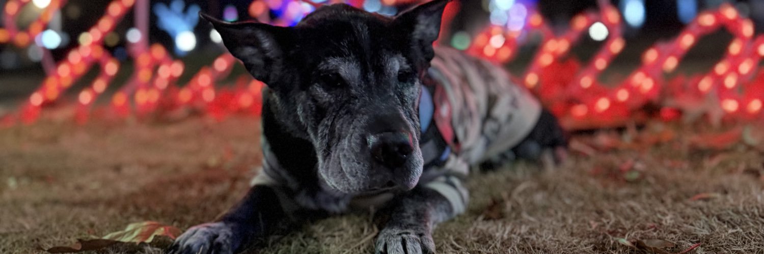 misz_andy's profile banner image