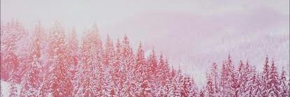 readeelec's profile banner image