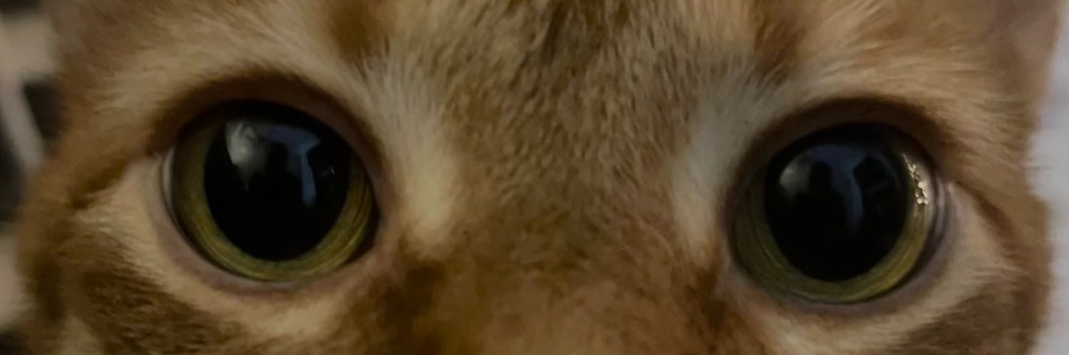 JuliaBeard21's profile banner image