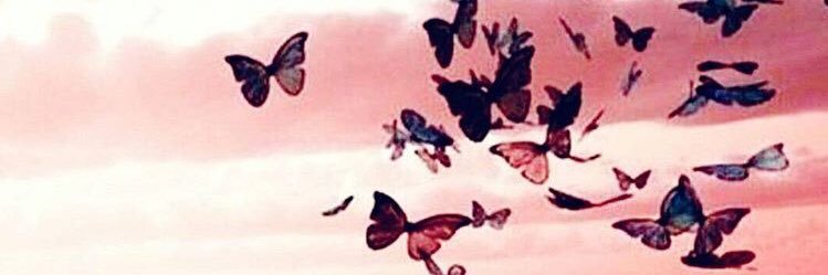 MonikBucheli's profile banner image