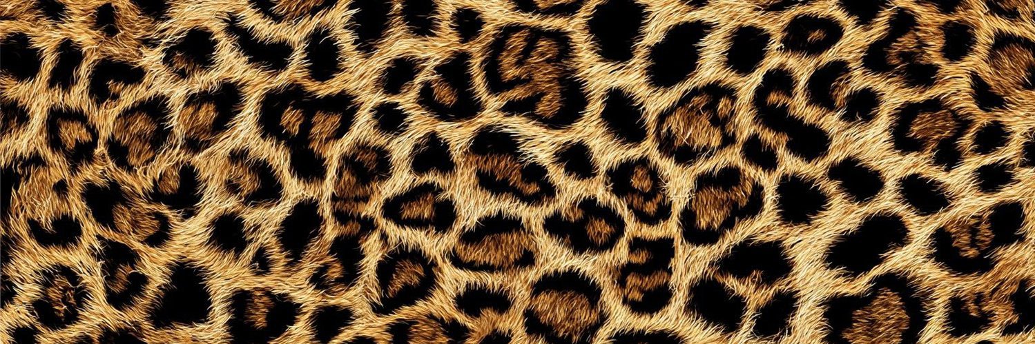 T00NEY__'s profile banner image