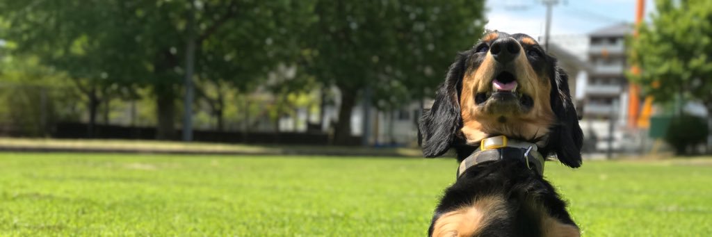 R_nanjyo's profile banner image