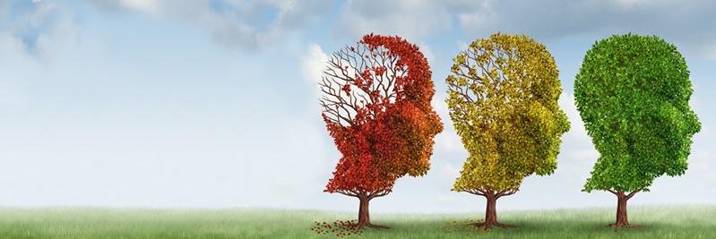 vesselonCare's profile banner image