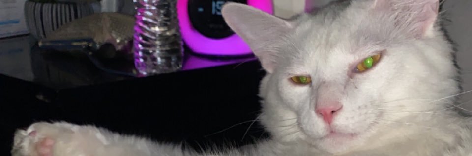 victorialantz_'s profile banner image