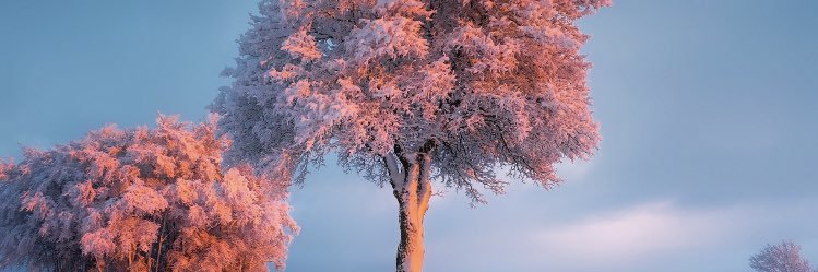 coskelee's profile banner image
