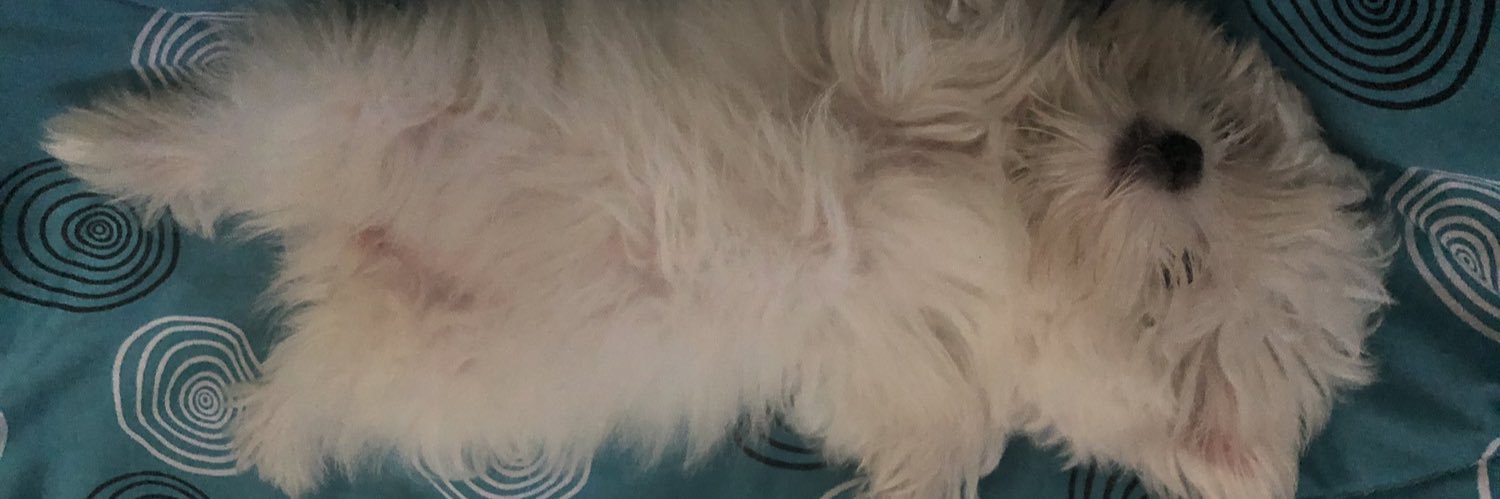 sleepingserlen's profile banner image