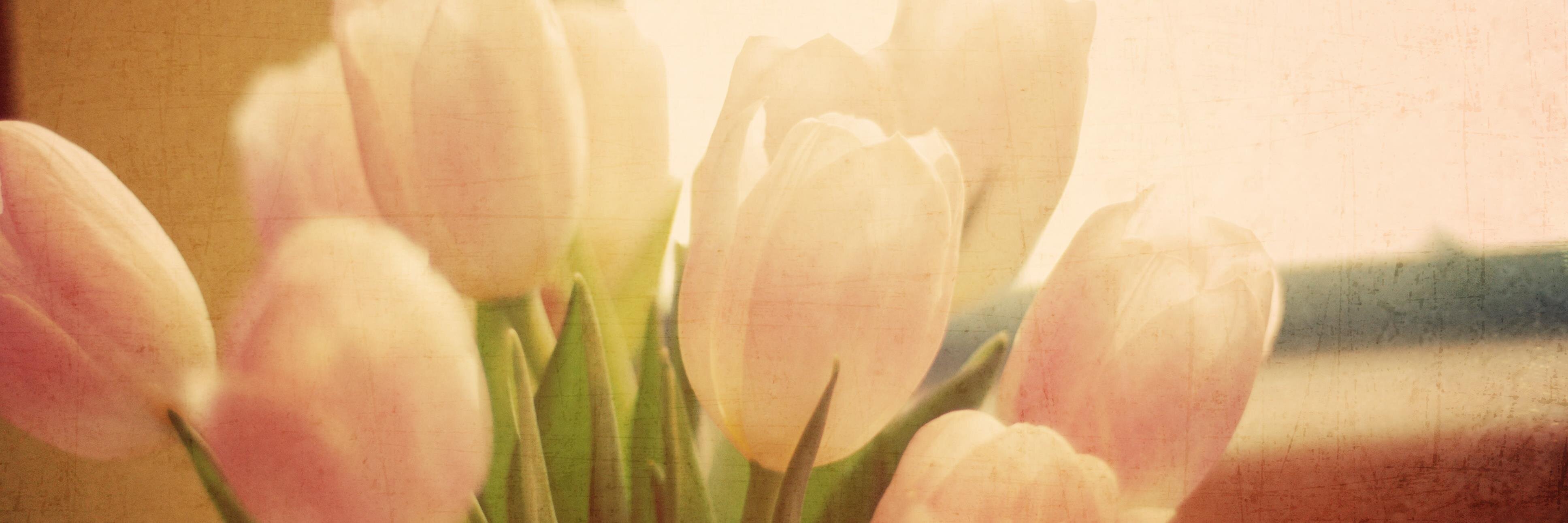 jenartisan's profile banner image