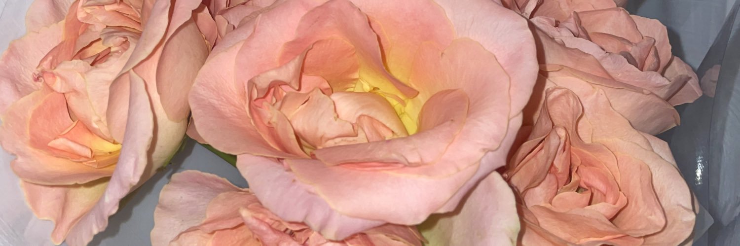lurvelysoft's profile banner image
