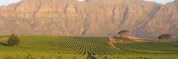 JmrRalph Profile Banner