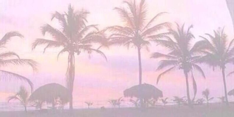 lamaX15's profile banner image