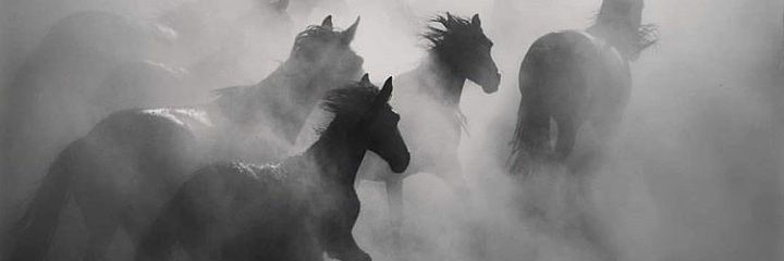 Mfiso_M🏳️‍🌈 banner