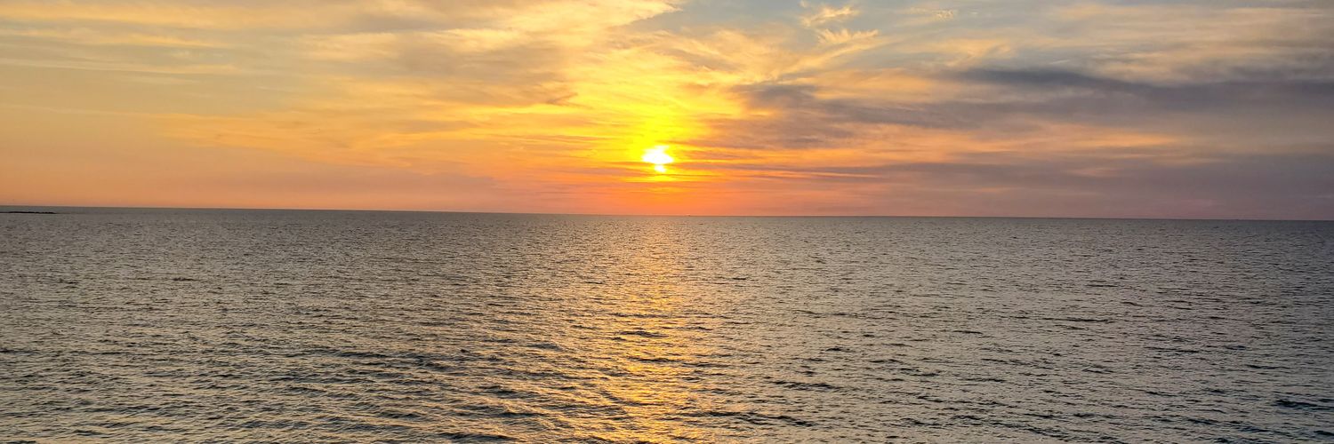 Mom2Boys1776🇺🇸 banner