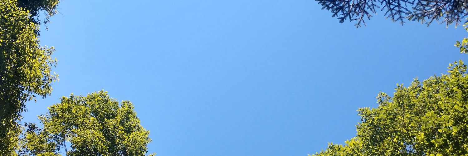 chalainakroll's profile banner image