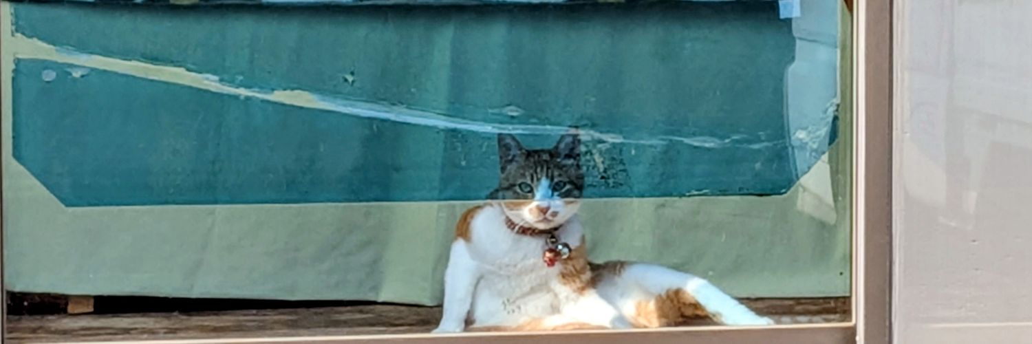 shinobu hanazawa banner