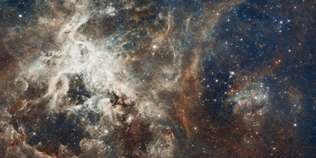 SpecialCock's profile banner image