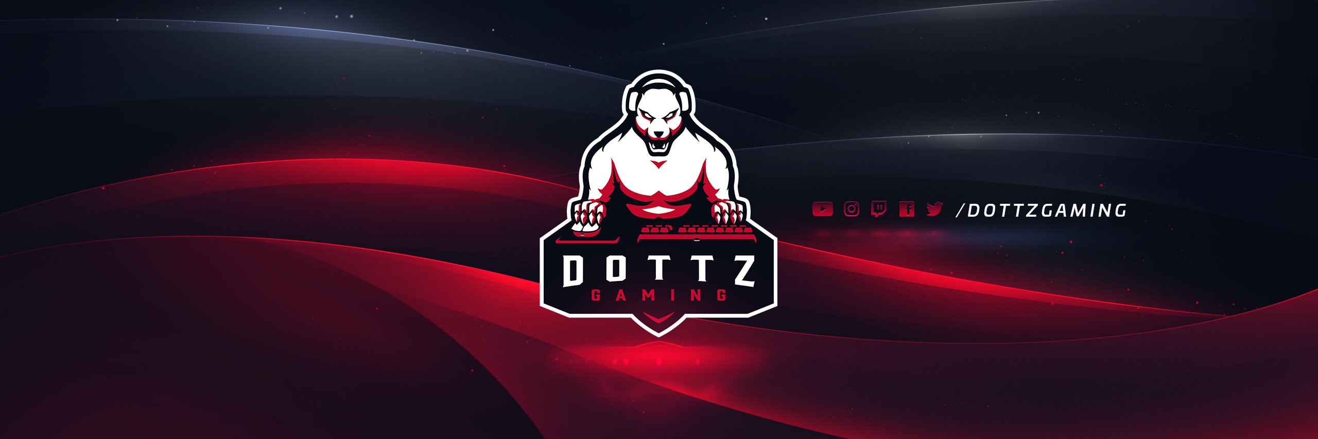 Dottz Gaming banner