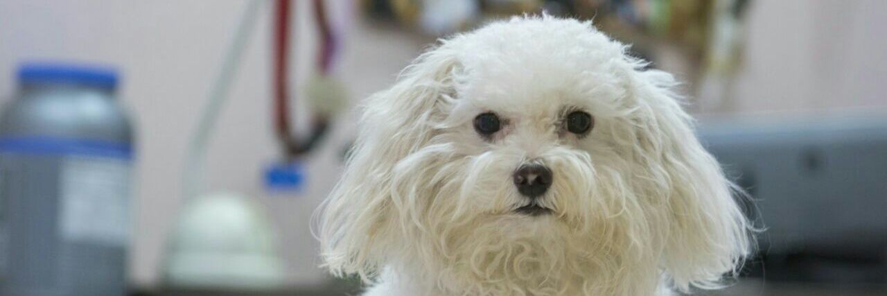 pepe_chager's profile banner image