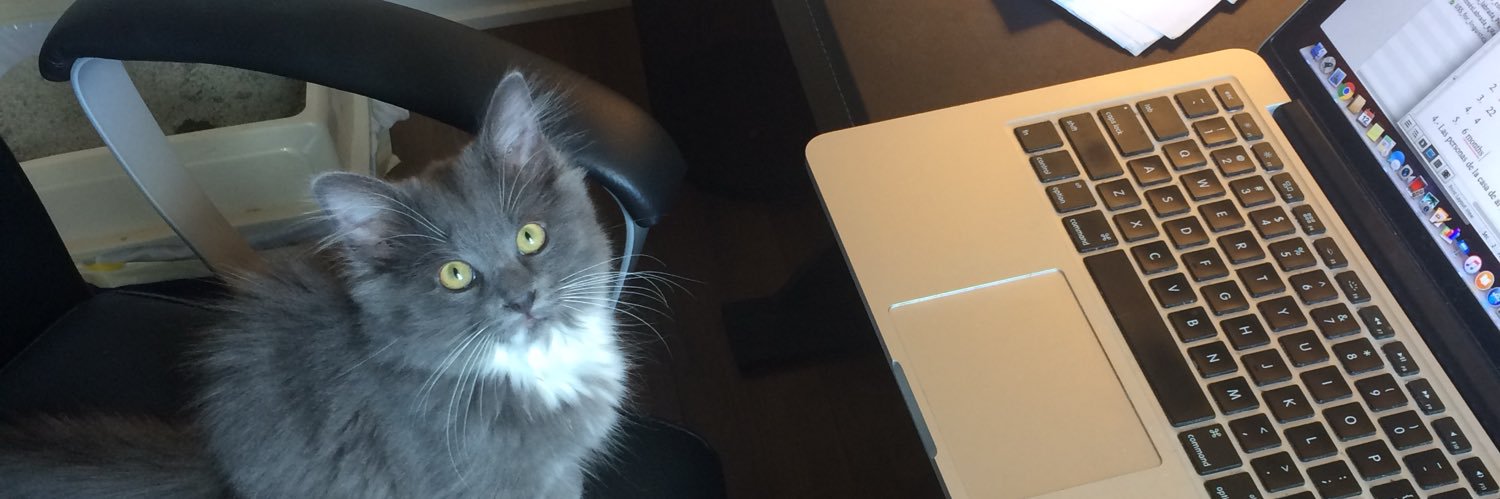 Jorge E. Rosés banner