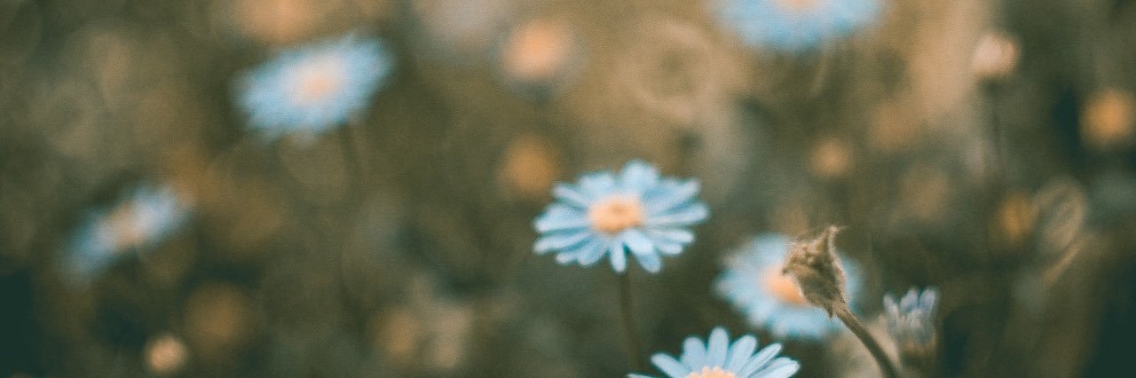 kwhit's profile banner image
