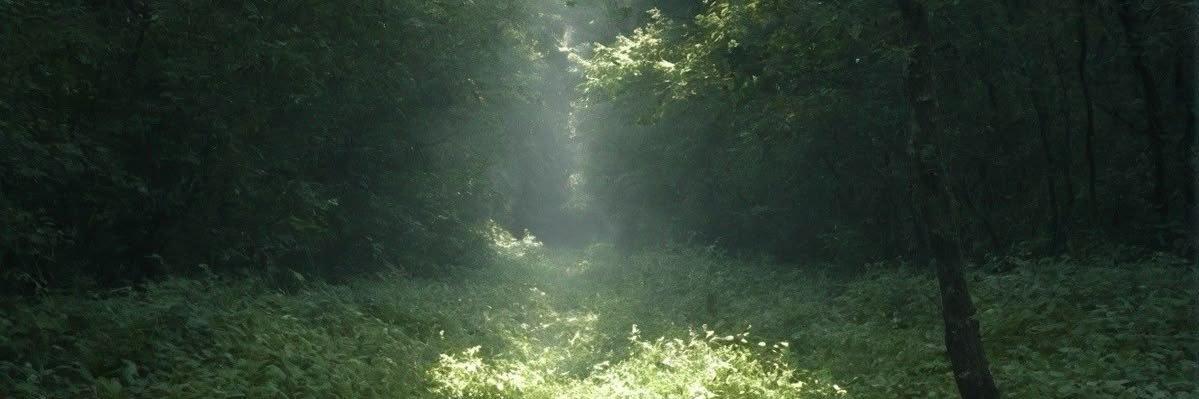 danswift__'s profile banner image